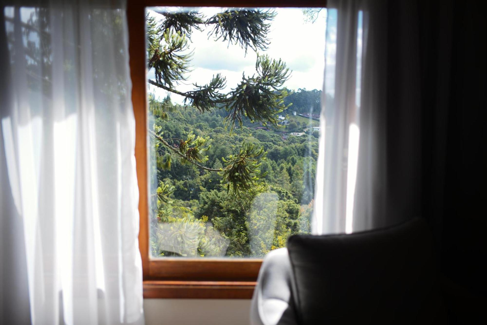 Hotel Meissner Hof Monte Verde  Eksteriør bilde
